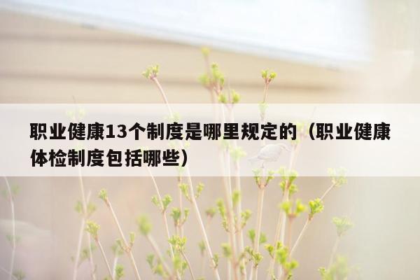 职业健康13个制度是哪里规定的（职业健康体检制度包括哪些）