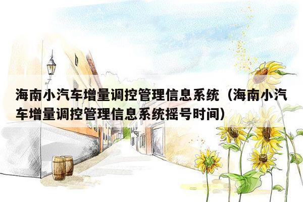 海南小汽车增量调控管理信息系统（海南小汽车增量调控管理信息系统摇号时间）