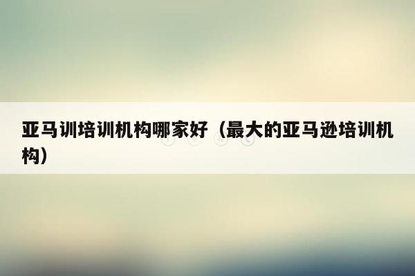 亚马训培训机构哪家好（最大的亚马逊培训机构）