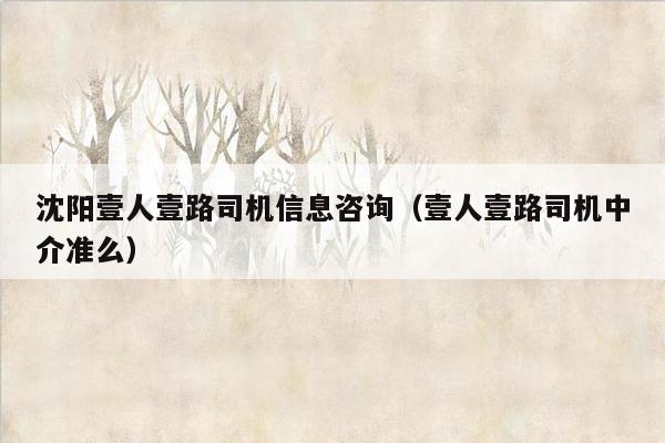 沈阳壹人壹路司机信息咨询（壹人壹路司机中介准么）