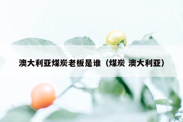 澳大利亚煤炭老板是谁（煤炭 澳大利亚）