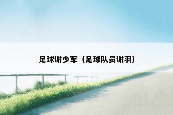 足球谢少军（足球队员谢羽）