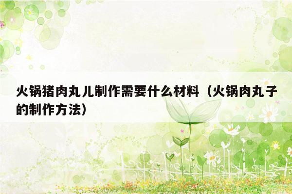 火锅猪肉丸儿制作需要什么材料（火锅肉丸子的制作方法）