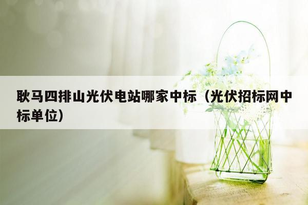 耿马四排山光伏电站哪家中标（光伏招标网中标单位）