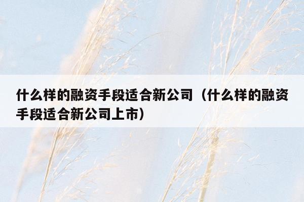 什么样的融资手段适合新公司（什么样的融资手段适合新公司上市）