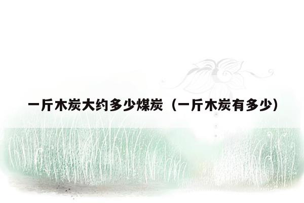 一斤木炭大约多少煤炭（一斤木炭有多少）