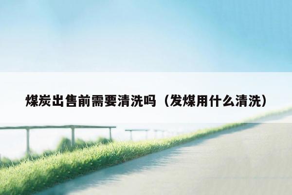 煤炭出售前需要清洗吗（发煤用什么清洗）