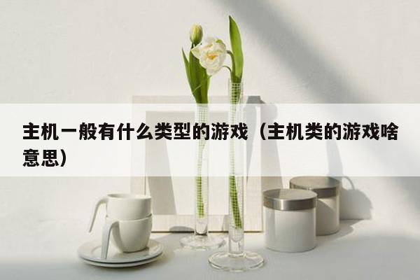 主机一般有什么类型的游戏（主机类的游戏啥意思）