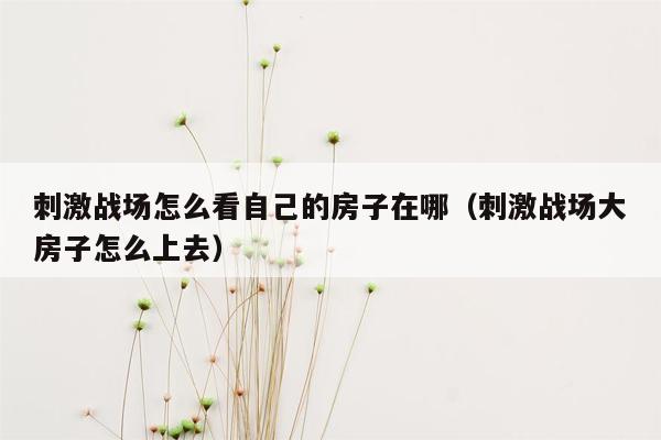 刺激战场怎么看自己的房子在哪（刺激战场大房子怎么上去）