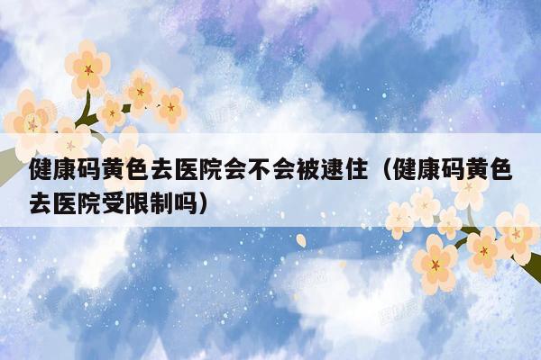 健康码黄色去医院会不会被逮住（健康码黄色去医院受限制吗）