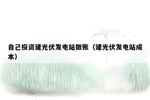 自己投资建光伏发电站做账（建光伏发电站成本）
