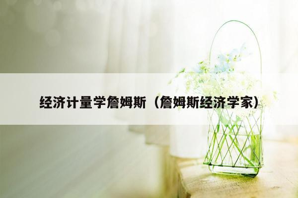 经济计量学詹姆斯（詹姆斯经济学家）