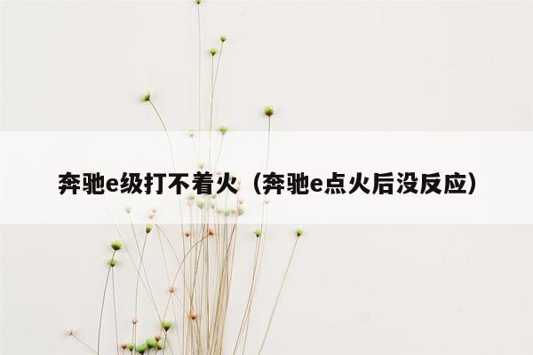 奔驰e级打不着火（奔驰e点火后没反应）