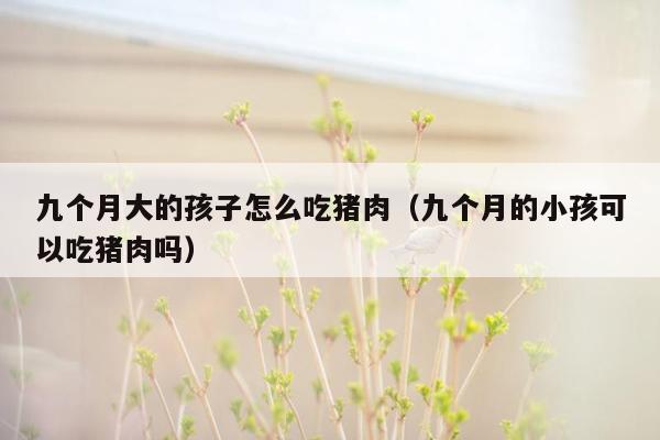 九个月大的孩子怎么吃猪肉（九个月的小孩可以吃猪肉吗）