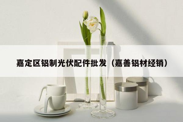 嘉定区铝制光伏配件批发（嘉善铝材经销）