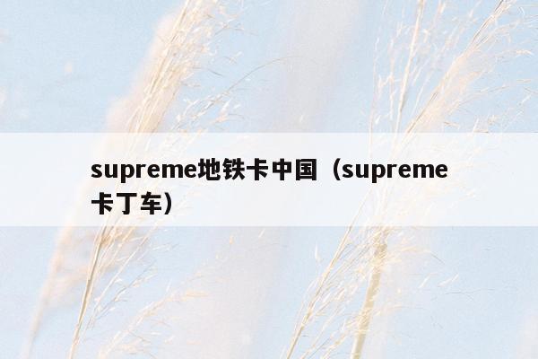 supreme地铁卡中国（supreme卡丁车）