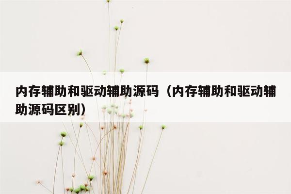 内存辅助和驱动辅助源码（内存辅助和驱动辅助源码区别）