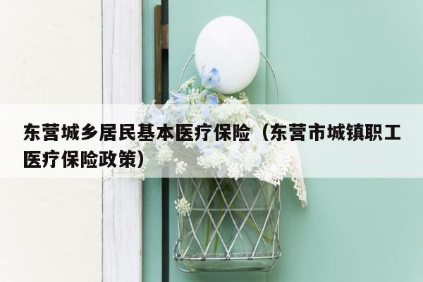 东营城乡居民基本医疗保险（东营市城镇职工医疗保险政策）
