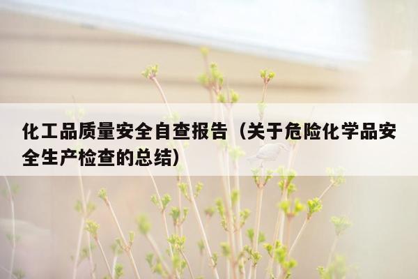 化工品质量安全自查报告（关于危险化学品安全生产检查的总结）