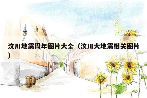 汶川地震周年图片大全（汶川大地震相关图片）