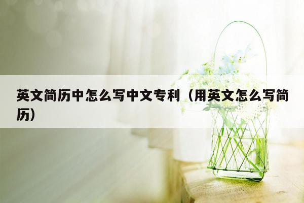 英文简历中怎么写中文专利（用英文怎么写简历）