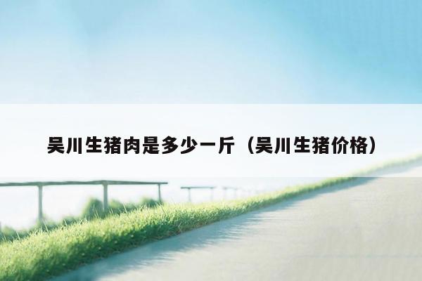 吴川生猪肉是多少一斤（吴川生猪价格）