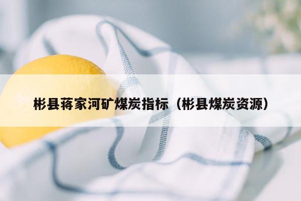 彬县蒋家河矿煤炭指标（彬县煤炭资源）