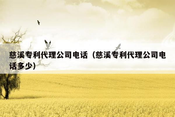 慈溪专利代理公司电话（慈溪专利代理公司电话多少）