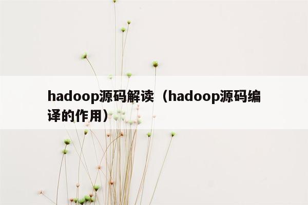 hadoop源码解读（hadoop源码编译的作用）