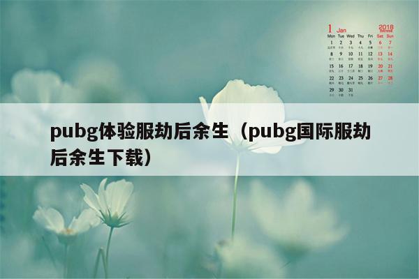 pubg体验服劫后余生（pubg国际服劫后余生下载）