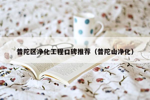 普陀区净化工程口碑推荐（普陀山净化）