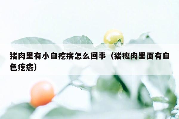 猪肉里有小白疙瘩怎么回事（猪瘦肉里面有白色疙瘩）