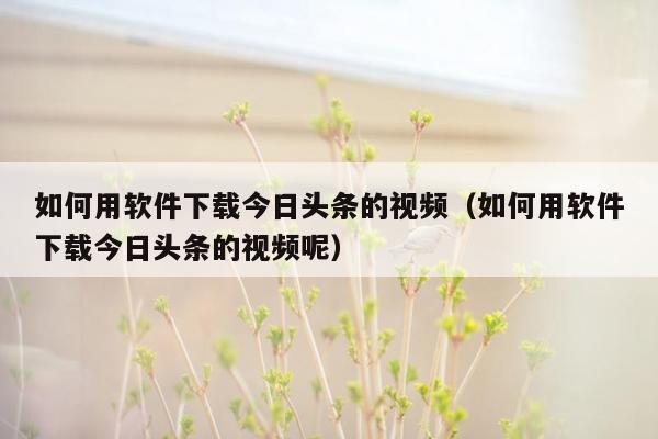 如何用软件下载今日头条的视频（如何用软件下载今日头条的视频呢）
