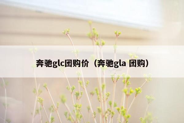 奔驰glc团购价（奔驰gla 团购）