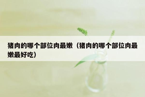 猪肉的哪个部位肉最嫩（猪肉的哪个部位肉最嫩最好吃）