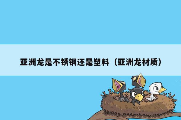 亚洲龙是不锈钢还是塑料（亚洲龙材质）