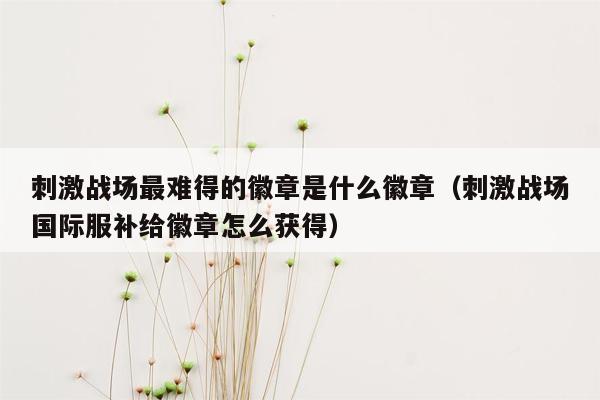 刺激战场最难得的徽章是什么徽章（刺激战场国际服补给徽章怎么获得）