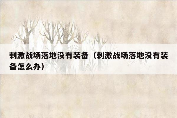 刺激战场落地没有装备（刺激战场落地没有装备怎么办）