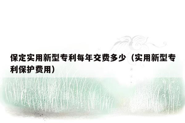 保定实用新型专利每年交费多少（实用新型专利保护费用）