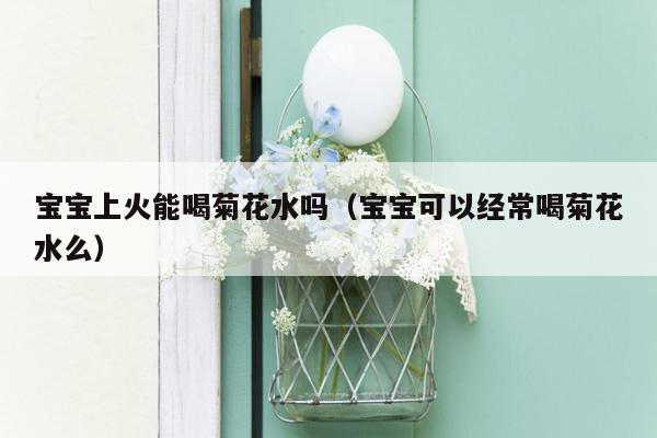 宝宝上火能喝菊花水吗（宝宝可以经常喝菊花水么）