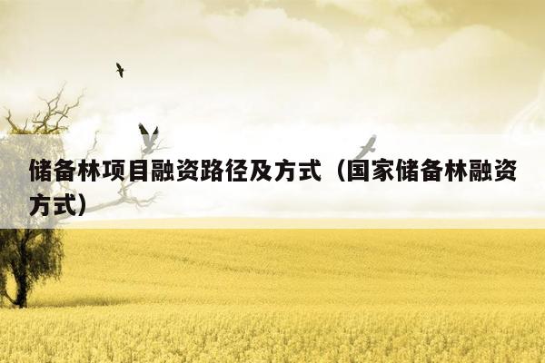 储备林项目融资路径及方式（国家储备林融资方式）