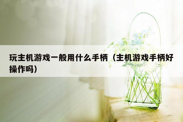 玩主机游戏一般用什么手柄（主机游戏手柄好操作吗）