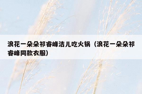 浪花一朵朵祁睿峰洁儿吃火锅（浪花一朵朵祁睿峰同款衣服）