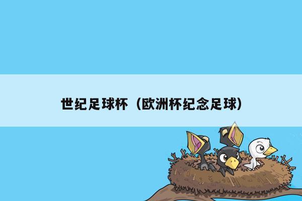 世纪足球杯（欧洲杯纪念足球）