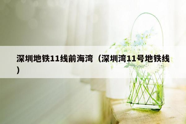 深圳地铁11线前海湾（深圳湾11号地铁线）
