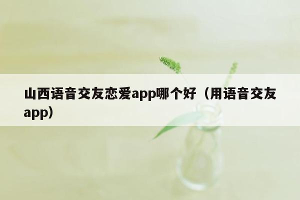 山西语音交友恋爱app哪个好（用语音交友app）