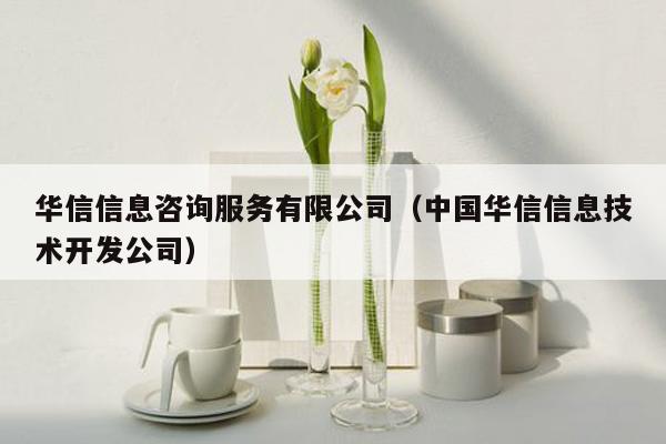 华信信息咨询服务有限公司（中国华信信息技术开发公司）