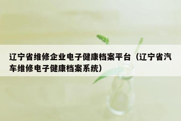 辽宁省维修企业电子健康档案平台（辽宁省汽车维修电子健康档案系统）