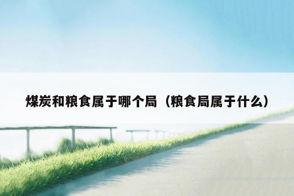 煤炭和粮食属于哪个局（粮食局属于什么）