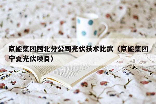 京能集团西北分公司光伏技术比武（京能集团宁夏光伏项目）